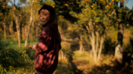 DAVID JASCHA ZUSCHLAG