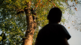 DAVID JASCHA ZUSCHLAG