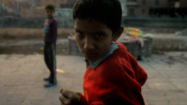 DAVID JASCHA ZUSCHLAG