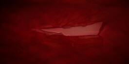 DAVID JASCHA ZUSCHLAG