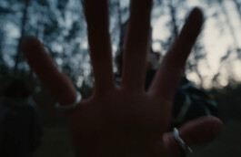 DAVID JASCHA ZUSCHLAG