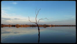 DAVID JASCHA ZUSCHLAG