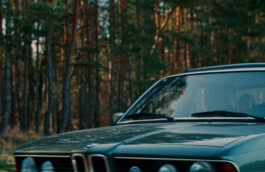 DAVID JASCHA ZUSCHLAG