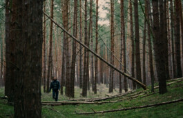 DAVID JASCHA ZUSCHLAG